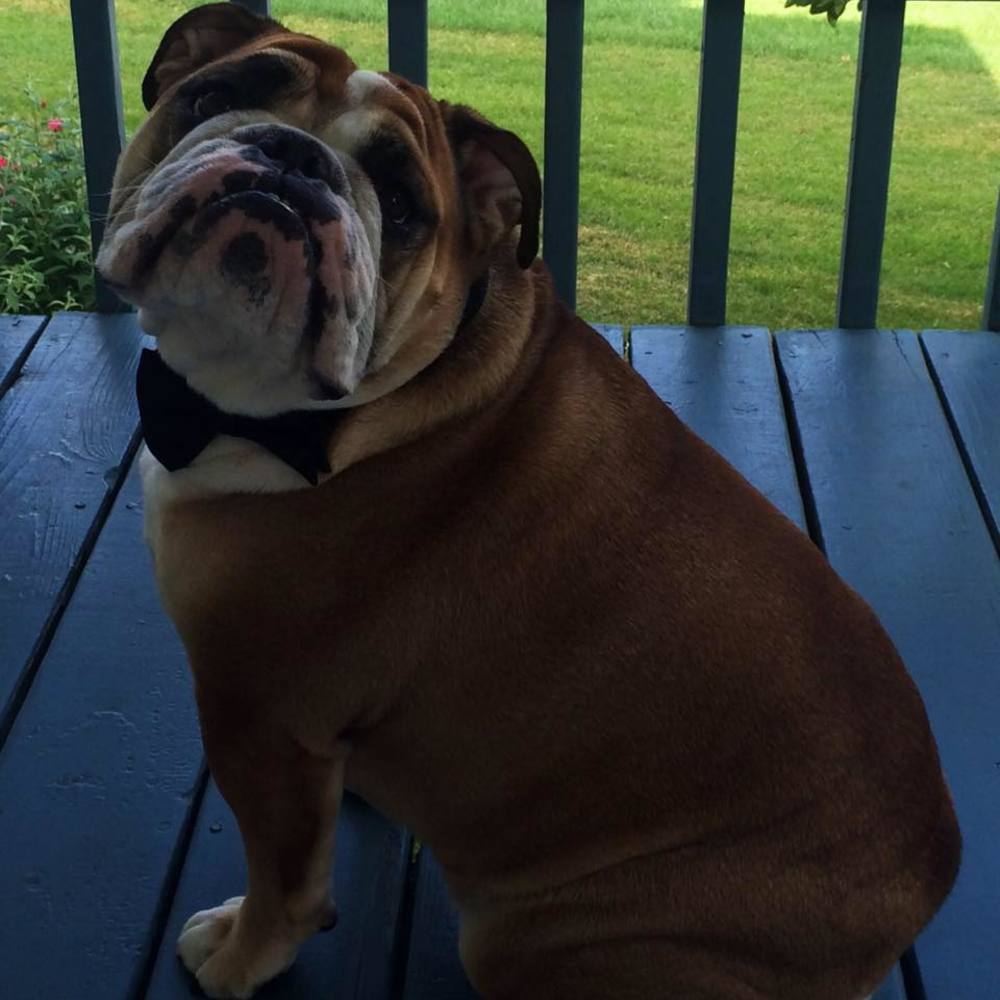 Meet your Posher, Tuan